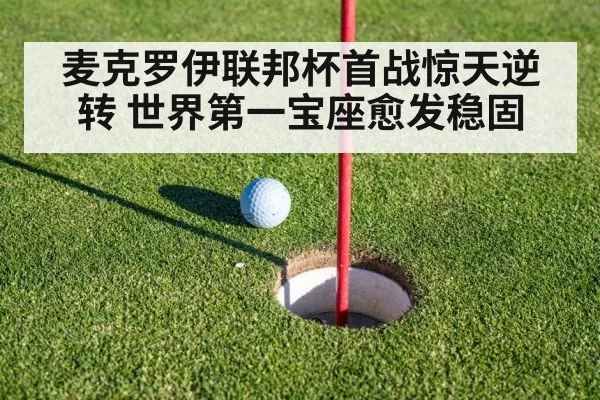golf putting green close up