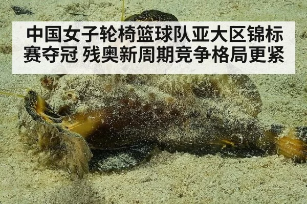 中国女子轮椅篮球队亚大区锦标赛夺冠 残奥新周期竞争格局更紧